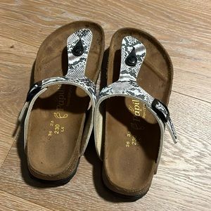 Birkenstocks, snake print
